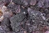 Dark Purple Fluorite Crystal Cluster - Cave-in-Rock, Illinois #322804-3